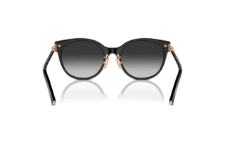 Vue arrière Tiffany TF4223D (80013C)