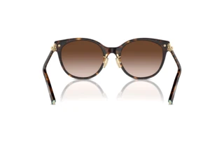 Vue arrière Tiffany TF4223D (80153B)