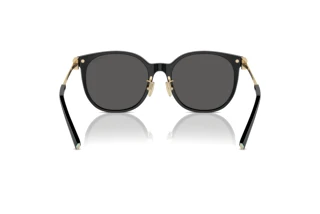 Vue arrière Tiffany TF4224D (8001S4)