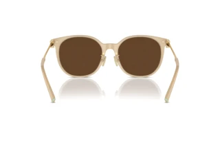 Vue arrière Tiffany TF4224D (84183G)