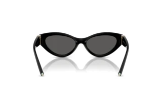 Vue arrière Tiffany TF4225U (8001S4)