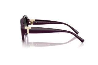 Vue latérale Tiffany TF4227BU (84273C)