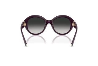 Vue arrière Tiffany TF4227BU (84273C)