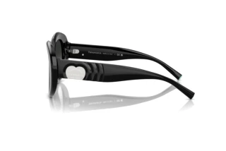 Vue latérale Tiffany TF4228 (80013C)