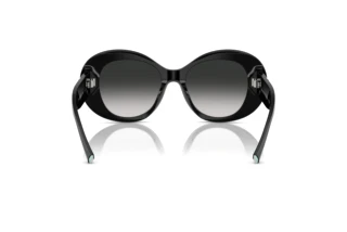 Vue arrière Tiffany TF4228 (80013C)