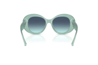 Vue arrière Tiffany TF4228 (83739S)