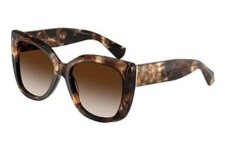 Tiffany TF4229 84213B Brown GradientSpotted Brown Havana