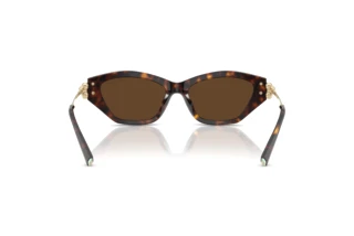 Vue arrière Tiffany TF4231U (80153G)