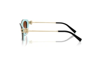 Vue latérale Tiffany TF4231U (81343B)