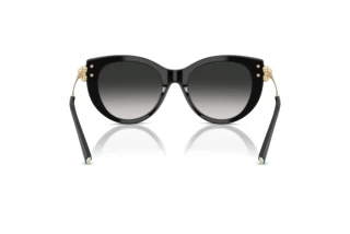 Vue arrière Tiffany TF4232 (80013C)