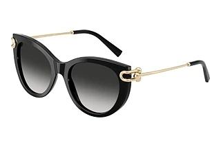 Tiffany TF4232 80013C Gray GradientBlack