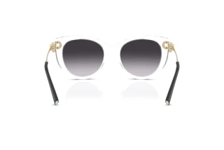 Vue arrière Tiffany TF4232 (80473C)