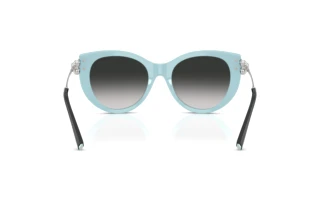 Vue arrière Tiffany TF4232 (80553C)