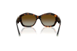 Vue arrière Tiffany TF4233U (8015T5)