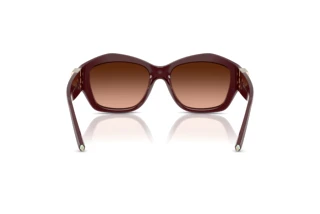 Vue arrière Tiffany TF4233U (83895M)