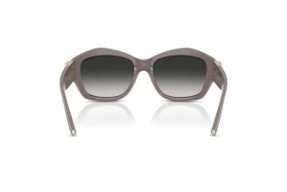 Vue arrière Tiffany TF4233U (84013C)