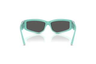 Vue arrière Tiffany TF4234U (8388S4)