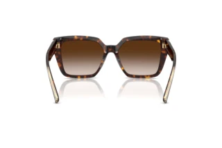 Vue arrière Tiffany TF4235 (80153B)