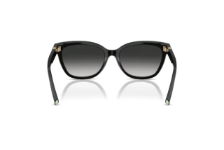 Vue arrière Tiffany TF4237B (80013C)