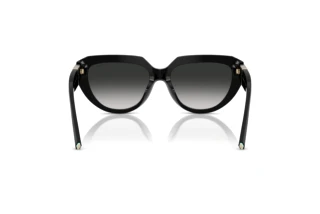 Vue arrière Tiffany TF4238U (80013C)