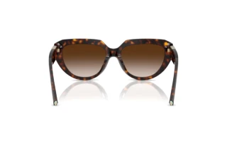 Vue arrière Tiffany TF4238U (80153B)