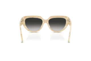 Vue arrière Tiffany TF4238U (84313C)