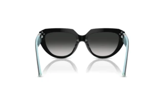 Vue arrière Tiffany TF4238U (84653C)