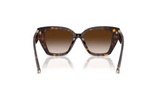 Vue arrière Tiffany TF4239U (80153B)