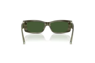 Vue arrière Tiffany TF4240U (843371)