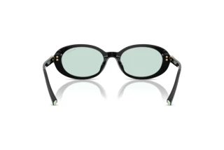 Vue arrière Tiffany TF4242D (8001D9)