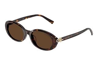 Tiffany TF4242D 80153G Light BrownHavana