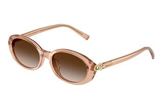 Tiffany TF4242D 82683B Brown GradientOpal Nude