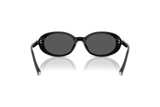 Vue arrière Tiffany TF4242D (8361S4)