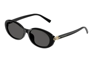 Vue de face Tiffany TF4242D (8361S4)