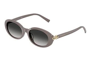 Tiffany TF4242D 84013C Grey GradientChocolate Truffle