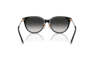 Vue arrière Tiffany TF4243D (80013C)