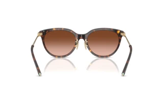 Vue arrière Tiffany TF4243D (80153B)