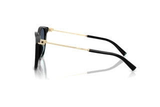 Vue latérale Tiffany TF4244D (80019S)