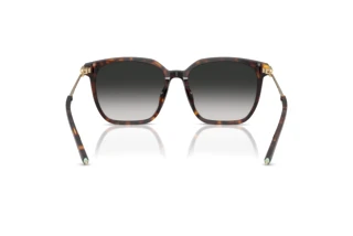 Vue arrière Tiffany TF4244D (80153C)