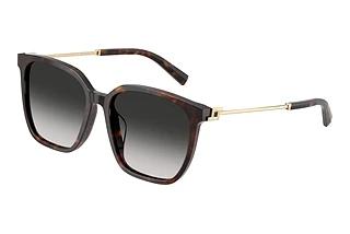 Tiffany TF4244D 80153C Grey GradientHavana