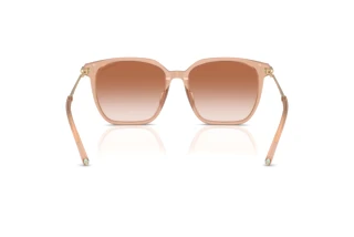 Vue arrière Tiffany TF4244D (826813)