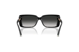 Vue arrière Tiffany TF4249 (80013C)