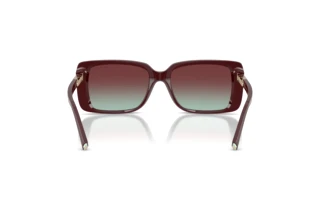 Vue arrière Tiffany TF4249 (8389V5)