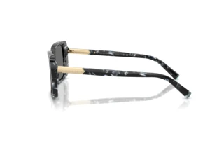 Vue latérale Tiffany TF4249 (842881)