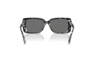 Vue arrière Tiffany TF4249 (842881)