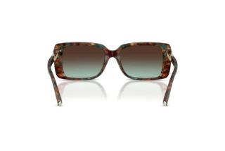 Vue arrière Tiffany TF4249 (84425D)