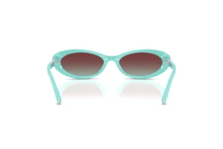 Vue arrière Tiffany TF4250 (8388V5)