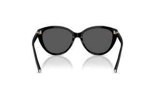 Vue arrière Tiffany TF4251 (8001S4)