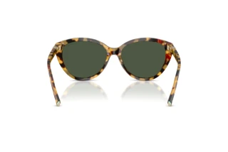 Vue arrière Tiffany TF4251 (80649A)