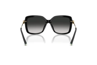 Vue arrière Tiffany TF4252B (80013C)